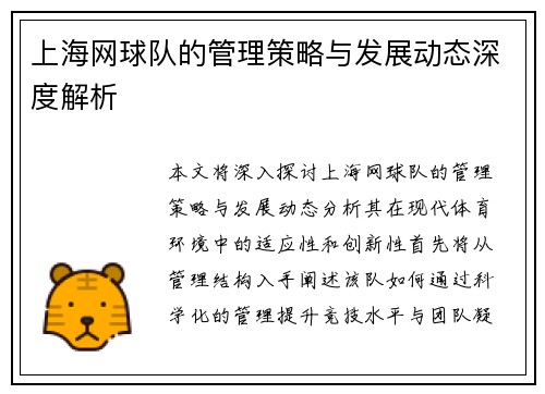 上海网球队的管理策略与发展动态深度解析
